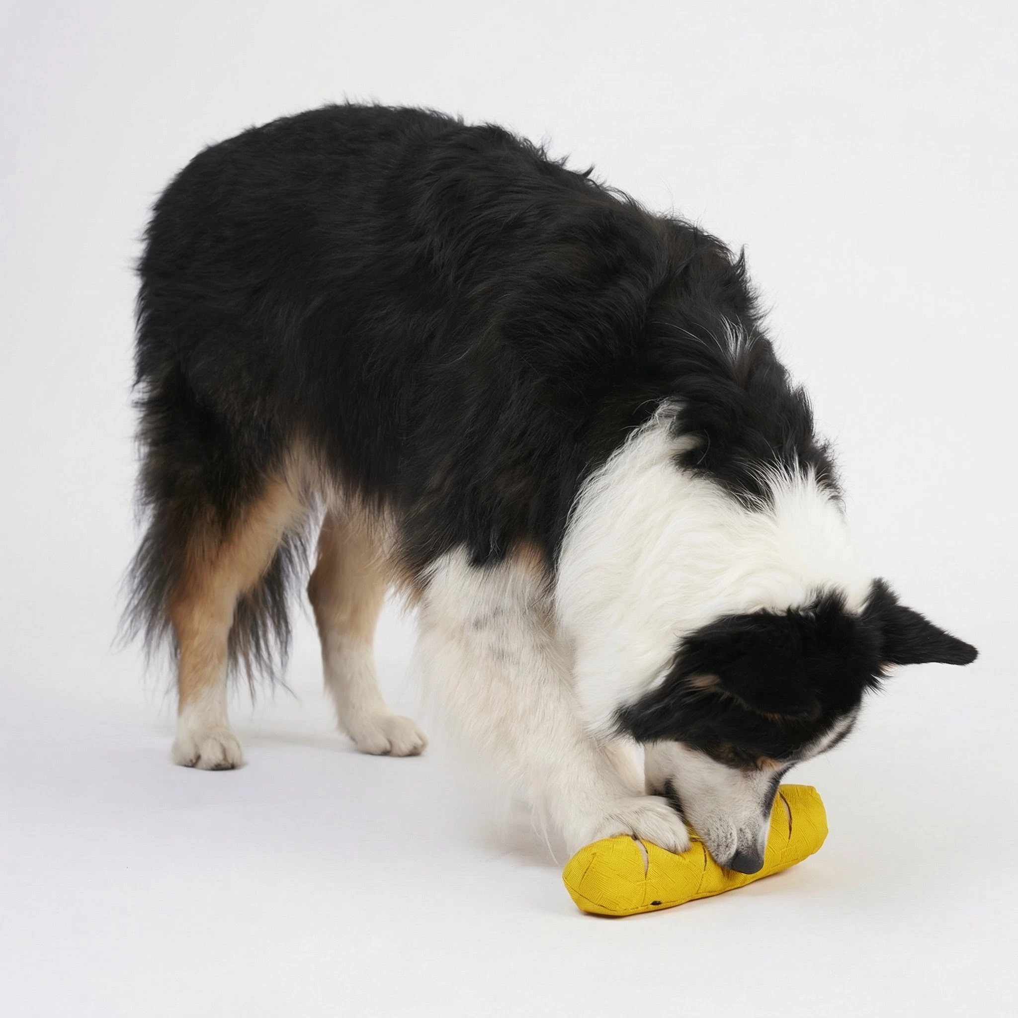 Redoggo Aktivspielzeug Baguette – Bild 2