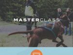 Masterclass Online