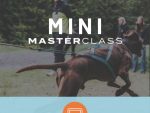 Mini-Masterclass