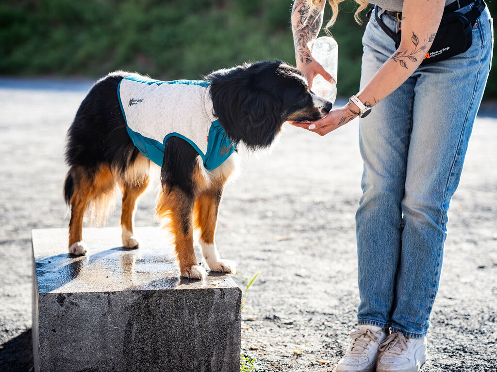 Cooling pull-on vest – Bild 2