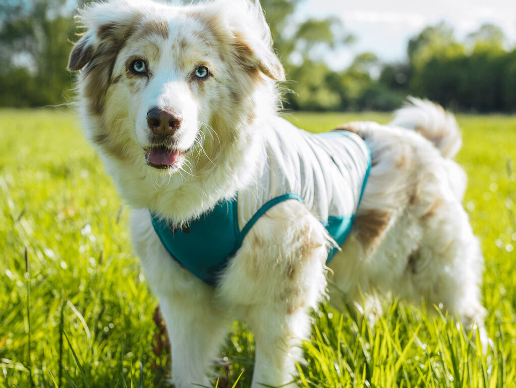Cooling pull-on vest – Bild 3