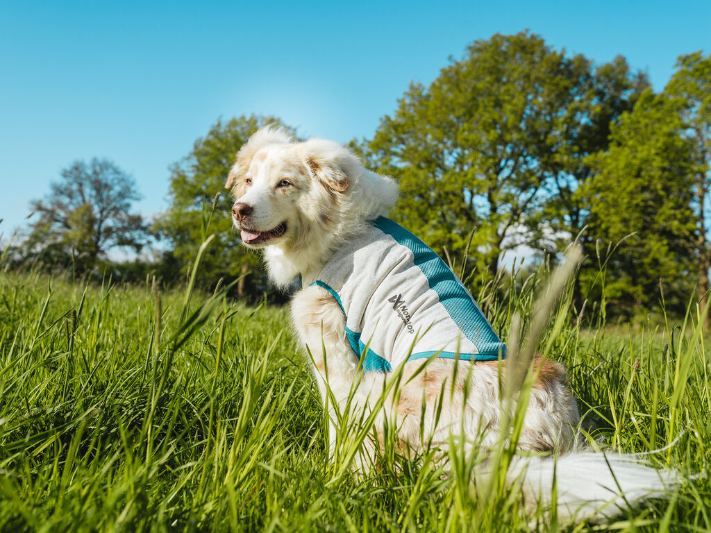 Cooling pull-on vest – Bild 5