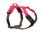 Ramble harness