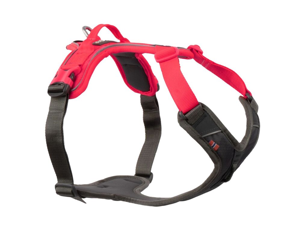 Ramble harness