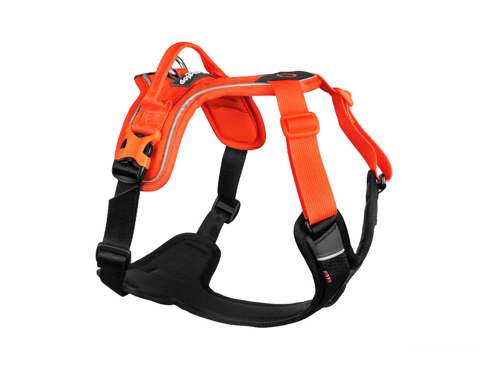 Ramble harness – Bild 4