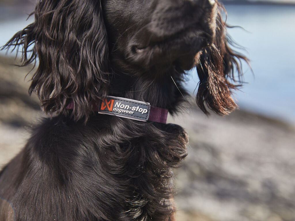 Tumble collar - Halsband für Welpen und kleine Hunde – Bild 5