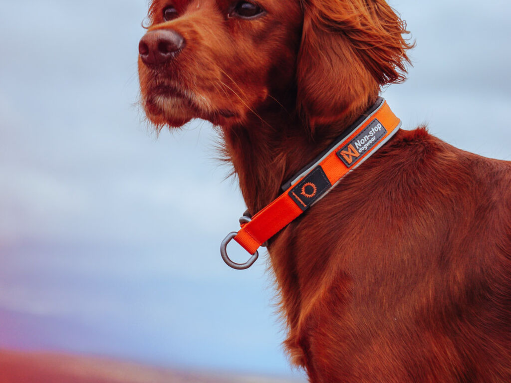 Cruise collar – Bild 4