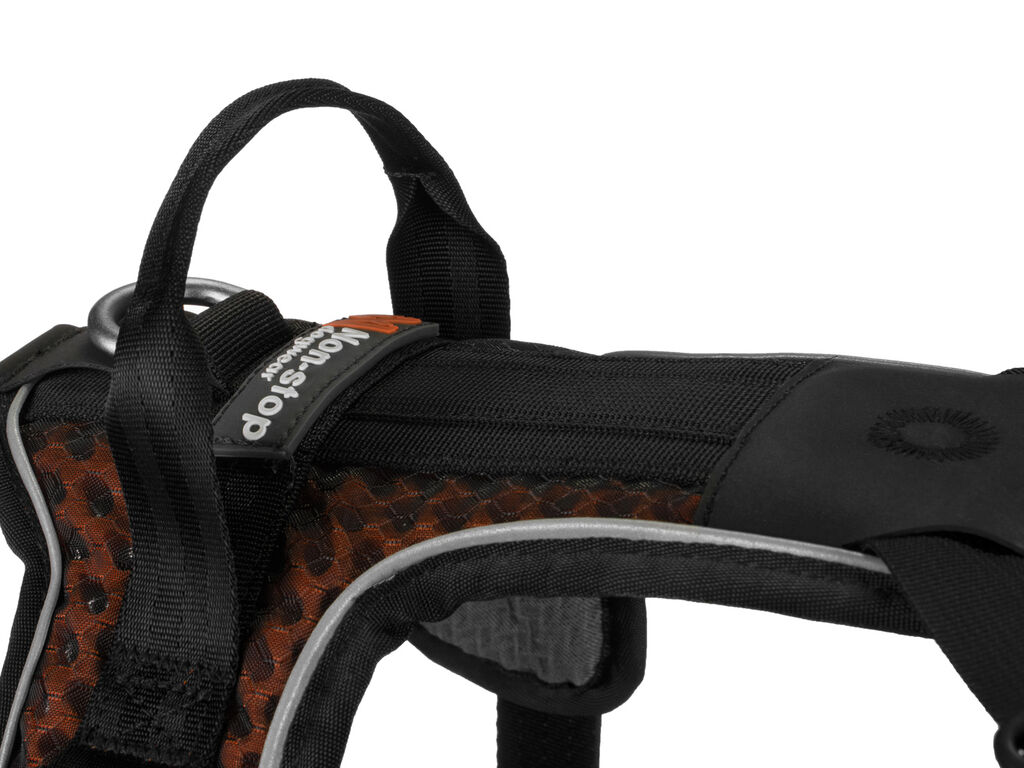Rock harness – Bild 2