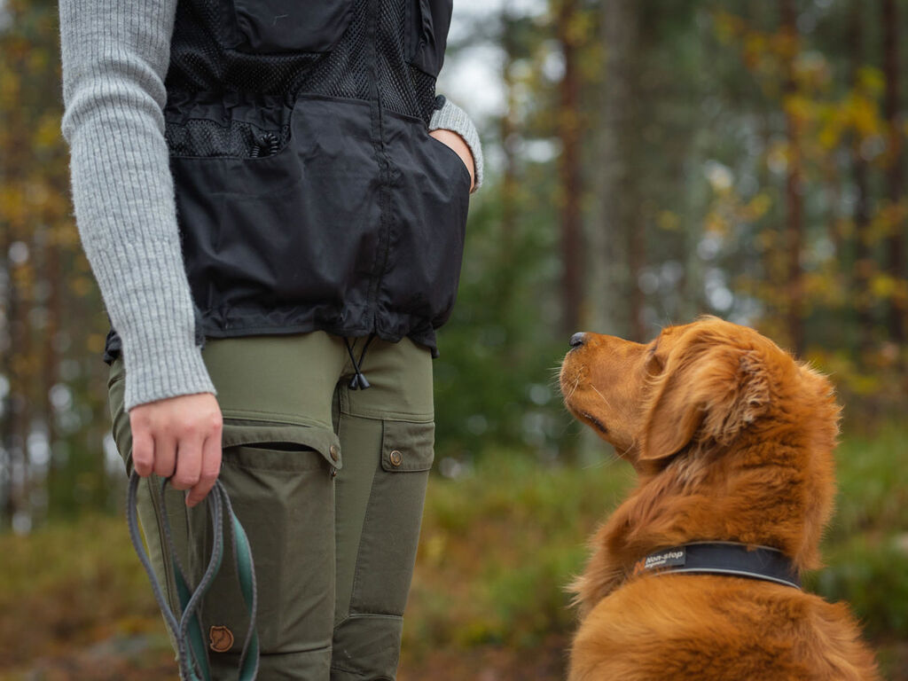 Dog training vest - Weste für Hundetraining – Bild 5