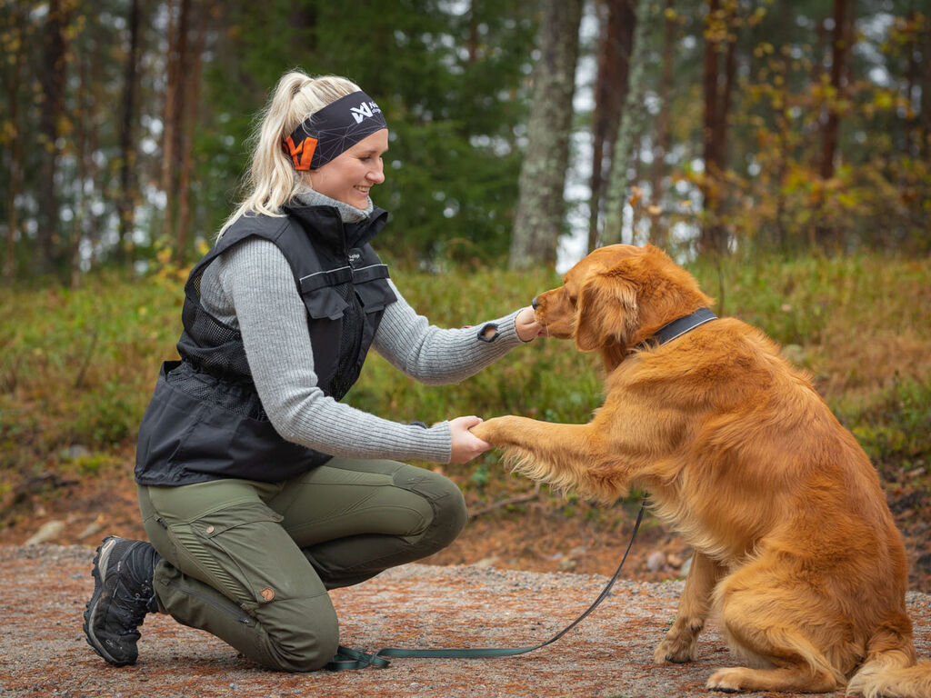 Dog training vest - Weste für Hundetraining – Bild 9