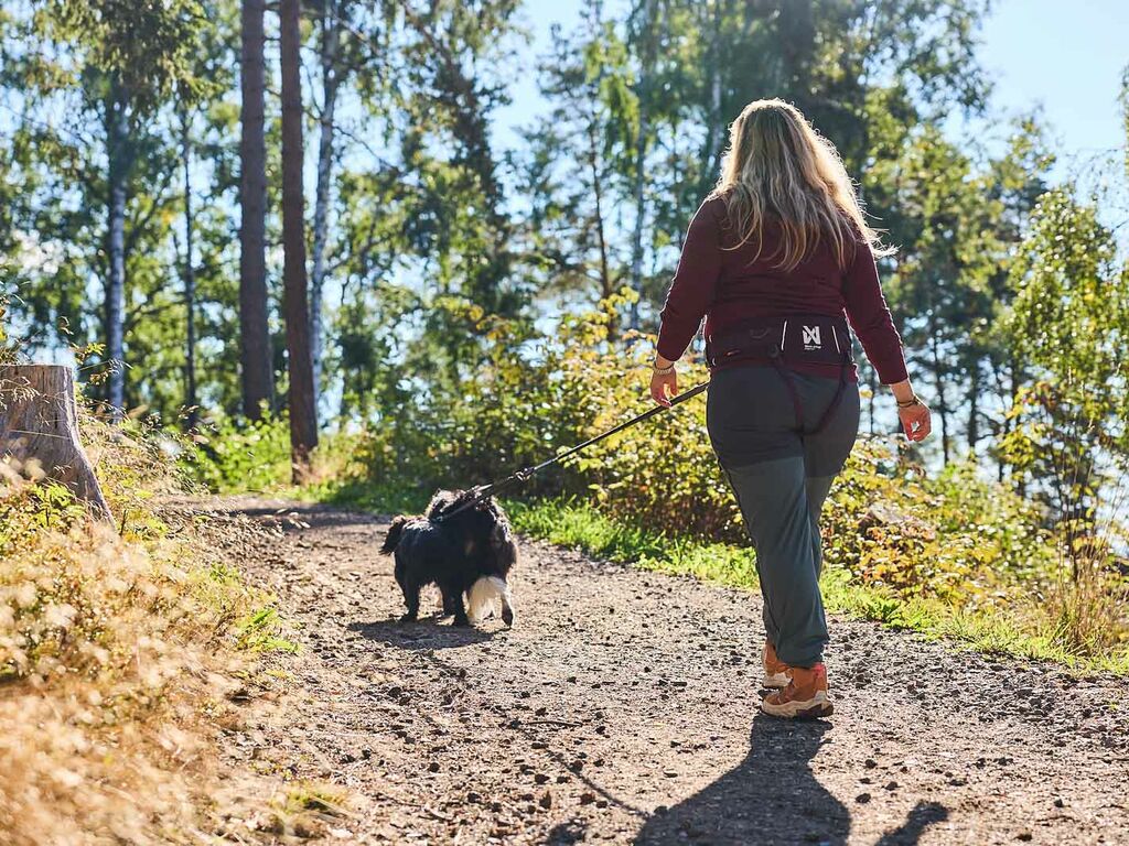 Trekking belt 2.0 - Gurt für freie Hände beim Wandern mit Hund – Bild 8