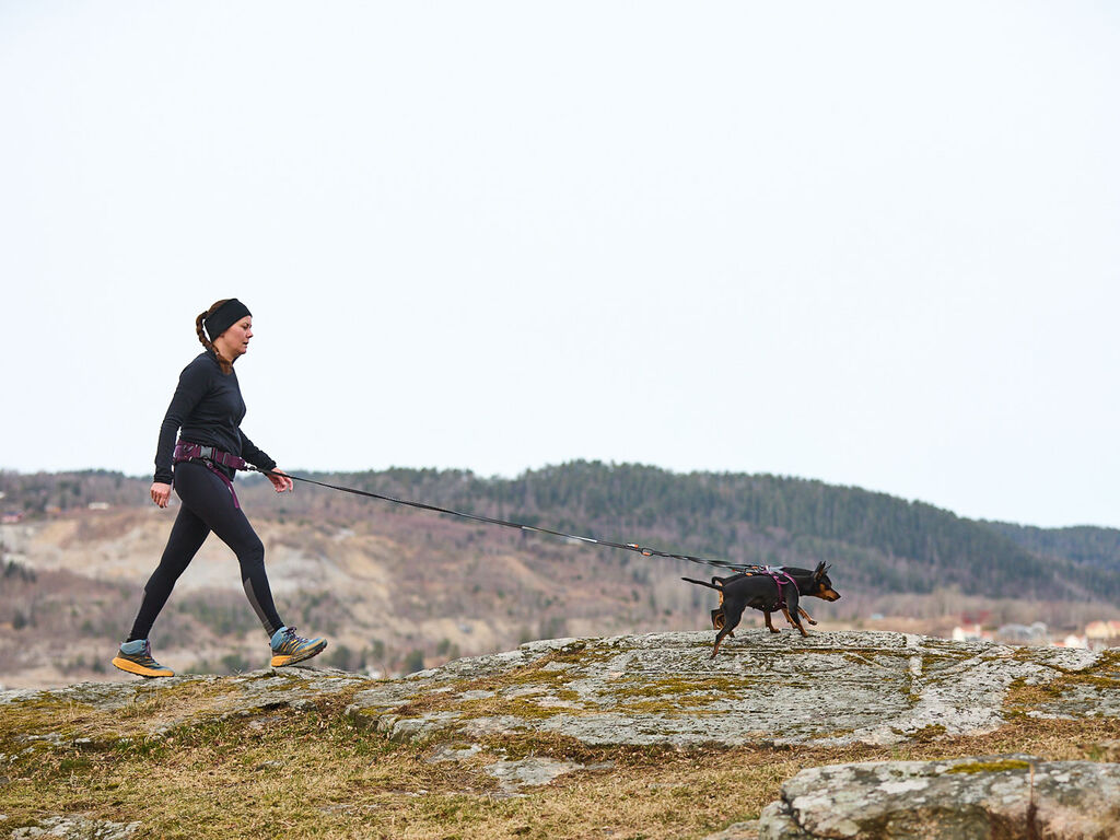 Trekking belt 2.0 - Gurt für freie Hände beim Wandern mit Hund – Bild 6