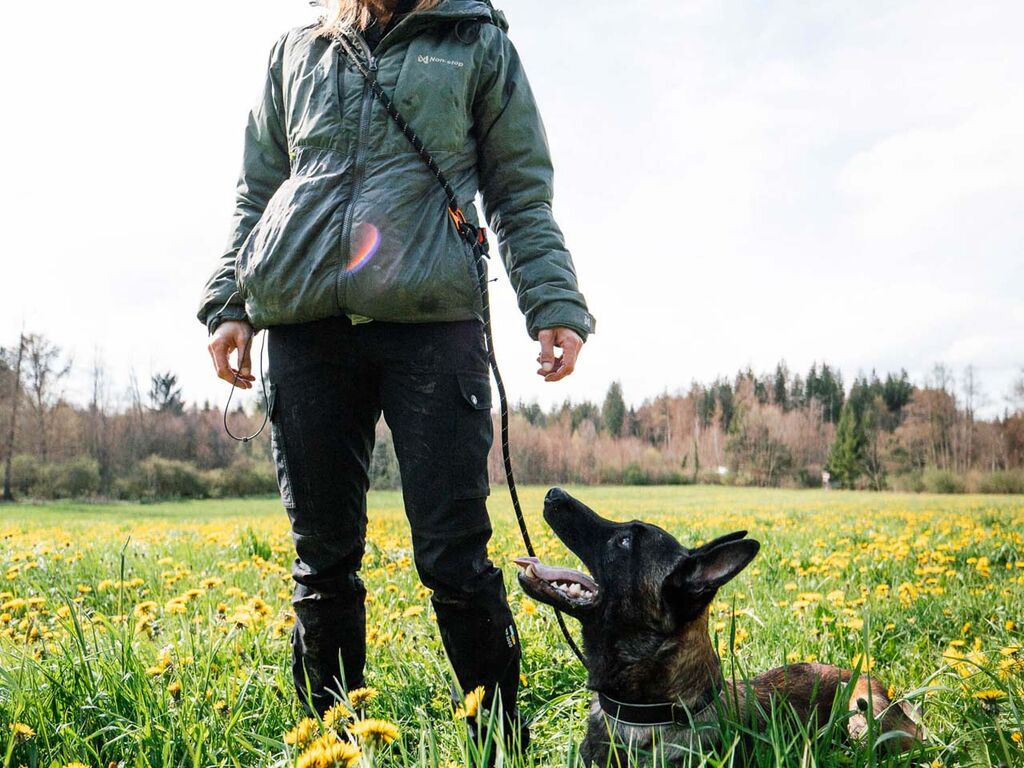 Rock adjustable leash – Bild 2