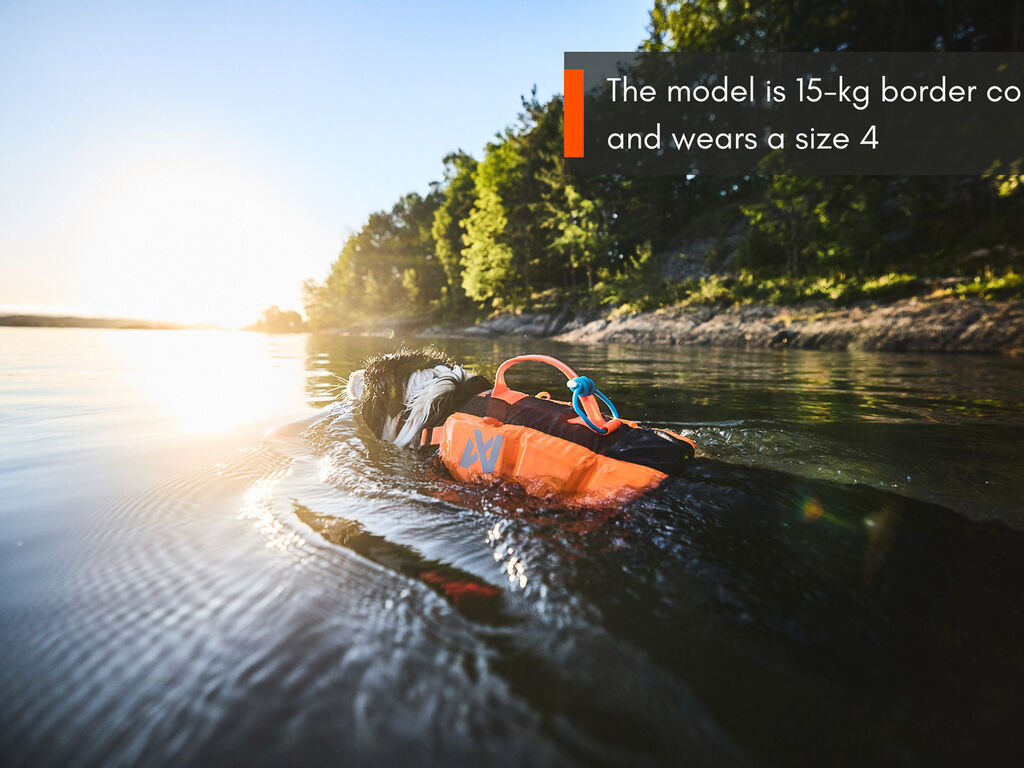 Protector life jacket – Bild 6