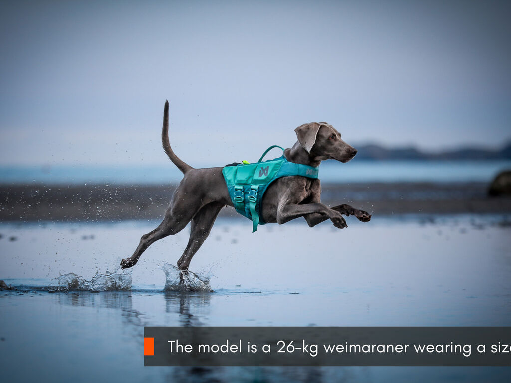 Protector life jacket – Bild 9