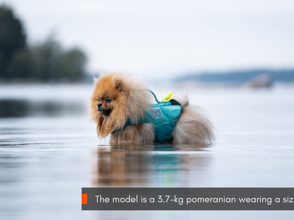 Protector life jacket – Bild 8