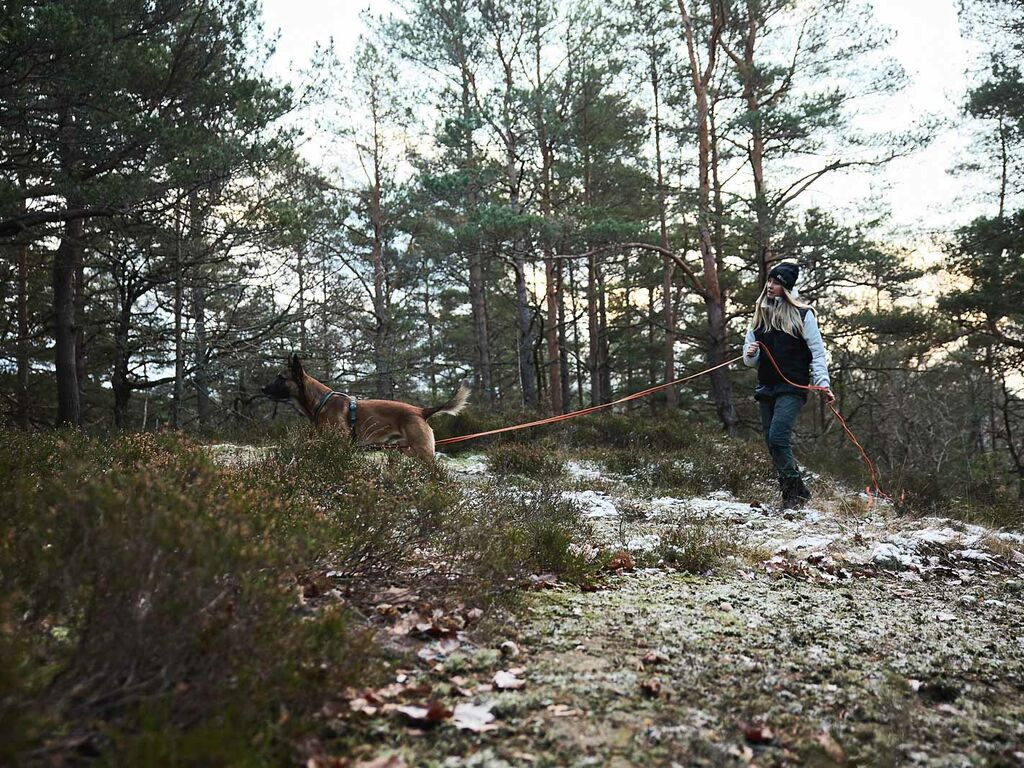 Friction long line - Schlepp Leine – Bild 6