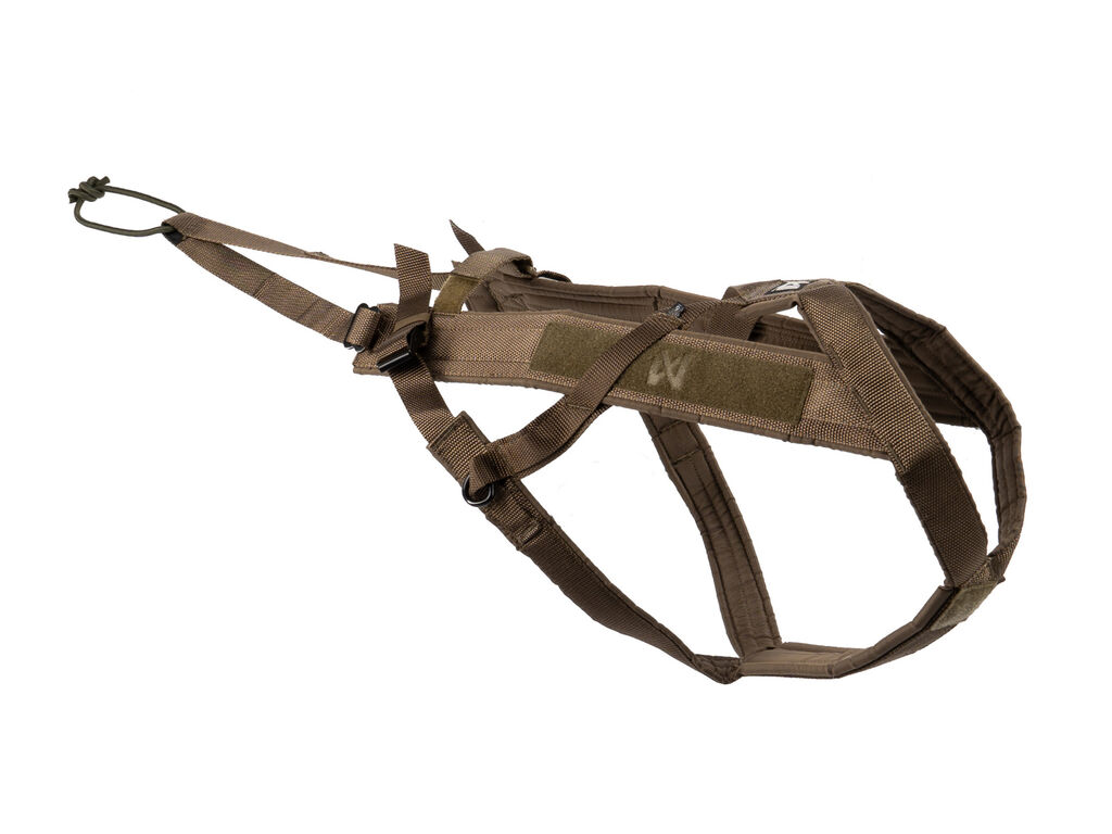 Freemotion harness WD