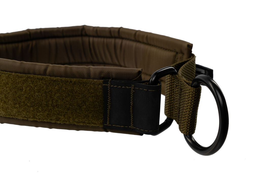 Solid collar WD - Strapazierfähiges Hundehalsband – Bild 4