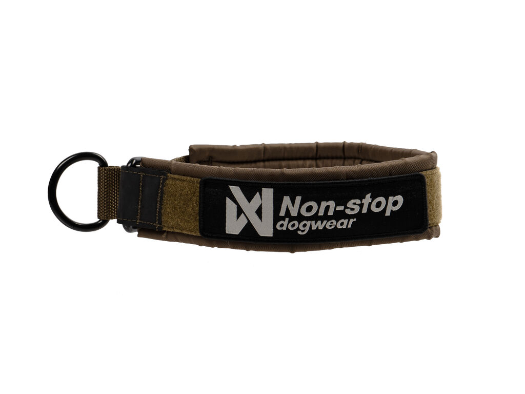 Solid collar WD - Strapazierfähiges Hundehalsband – Bild 2