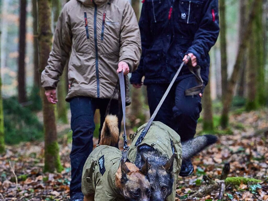 Solid leash WD – Bild 2