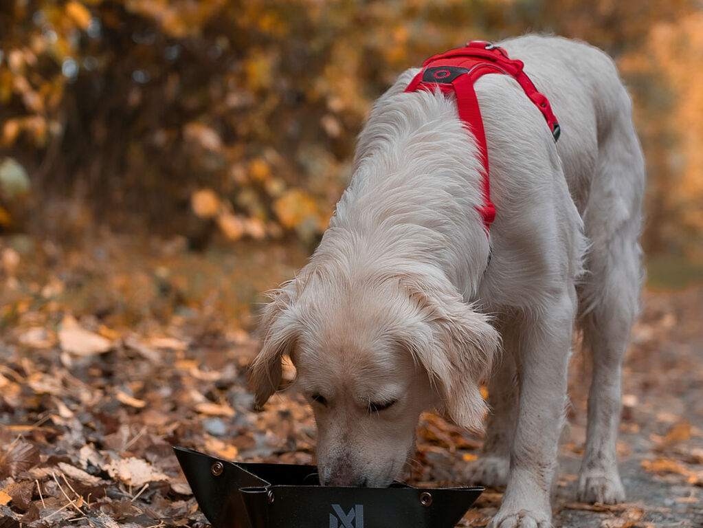 Trekking bowl – Bild 4