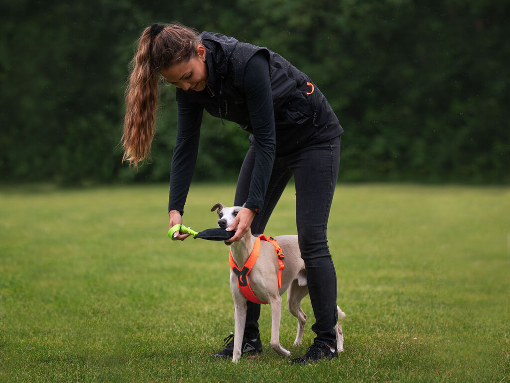 Obedience vest women's -Weste für Hundetraining – Bild 8