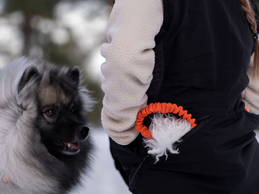 Obedience vest women's -Weste für Hundetraining – Bild 3
