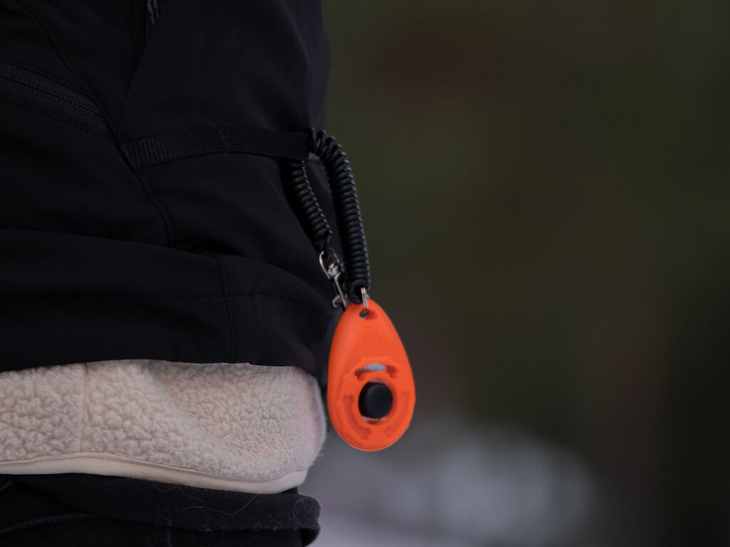 Obedience vest women's -Weste für Hundetraining – Bild 6