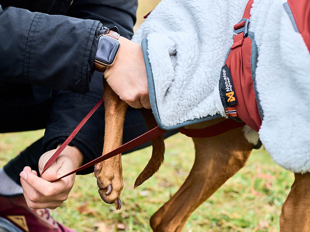 Trekking fleece dog jacket – Bild 5