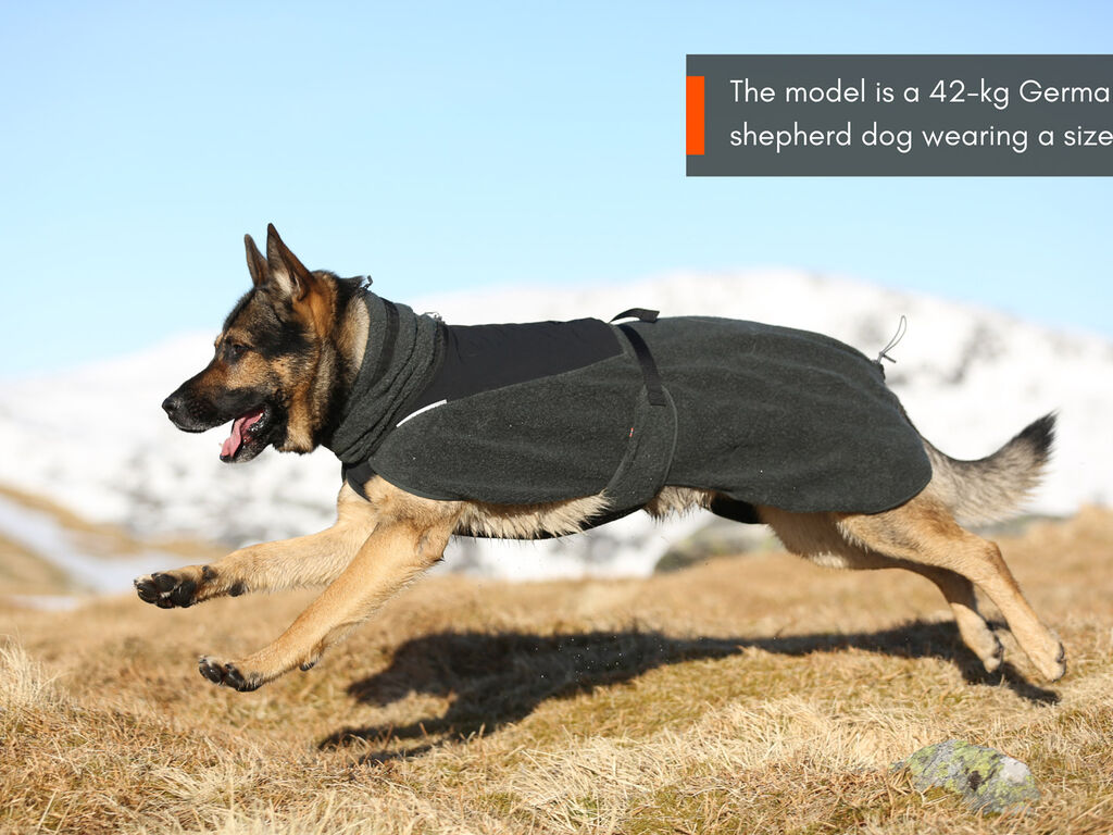 Wool dog jacket – Bild 8
