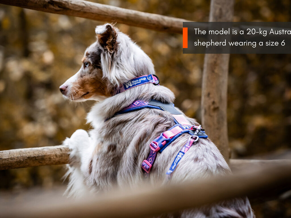 Trail quest collar Rachel Pohl edition – Bild 5