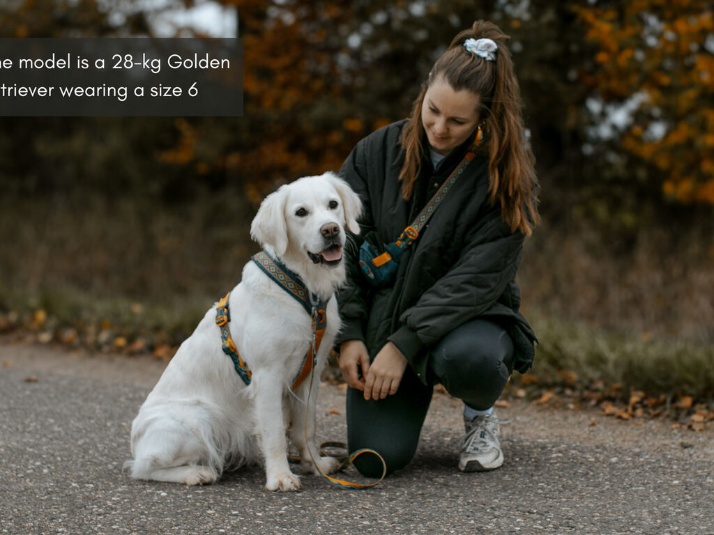Line harness 5.0 Rachel Pohl edition – Bild 5