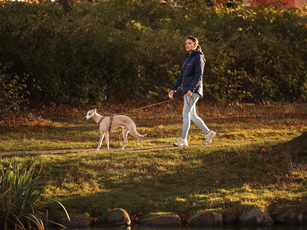 Trail quest leash Rachel Pohl edition – Bild 5