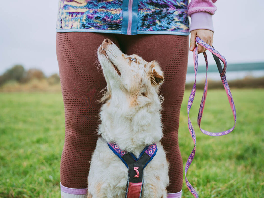 Trail quest leash Rachel Pohl edition – Bild 4