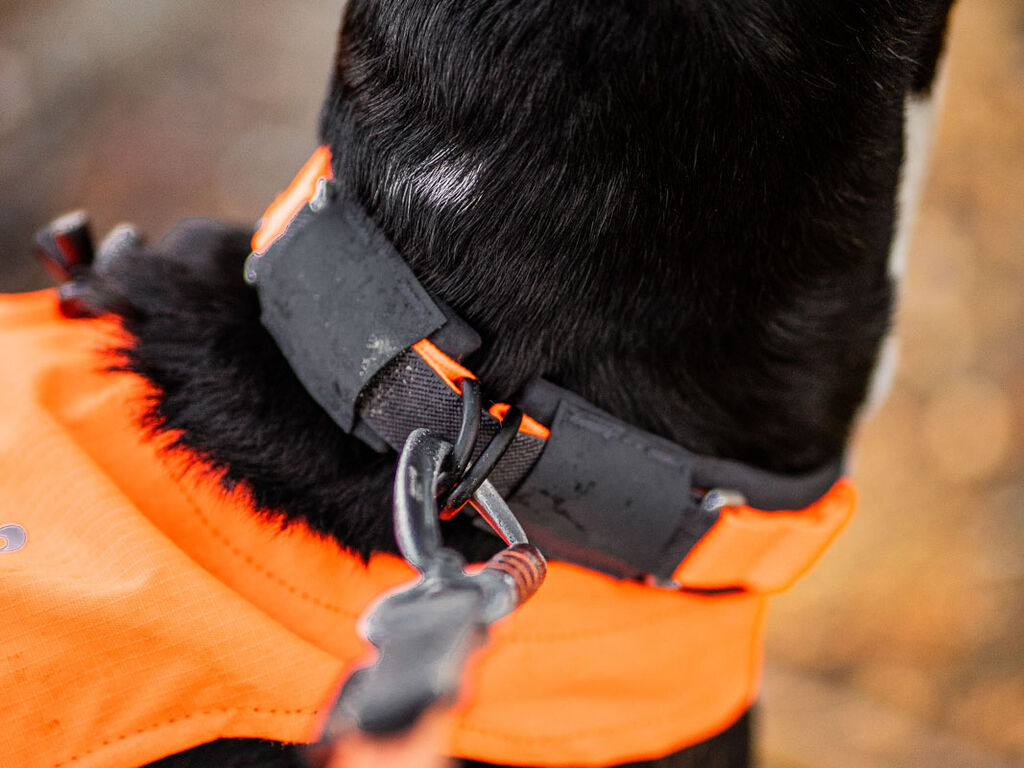 Protector collar – Bild 4