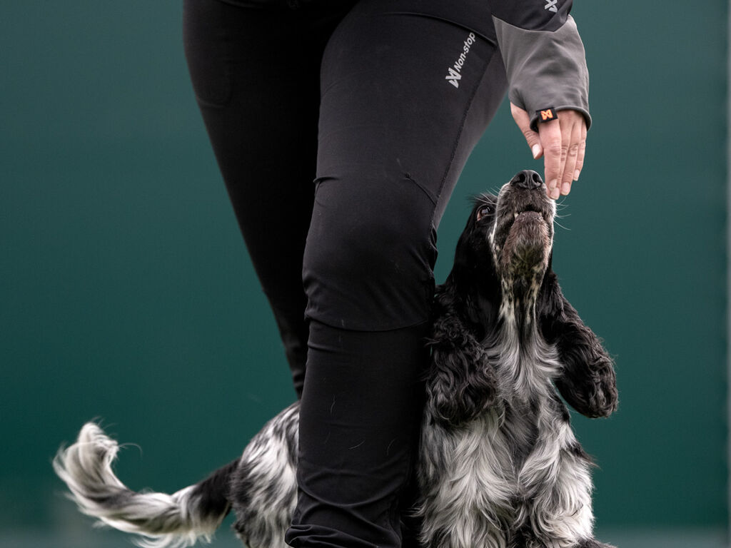 Canix warm-up pants women's – Bild 5