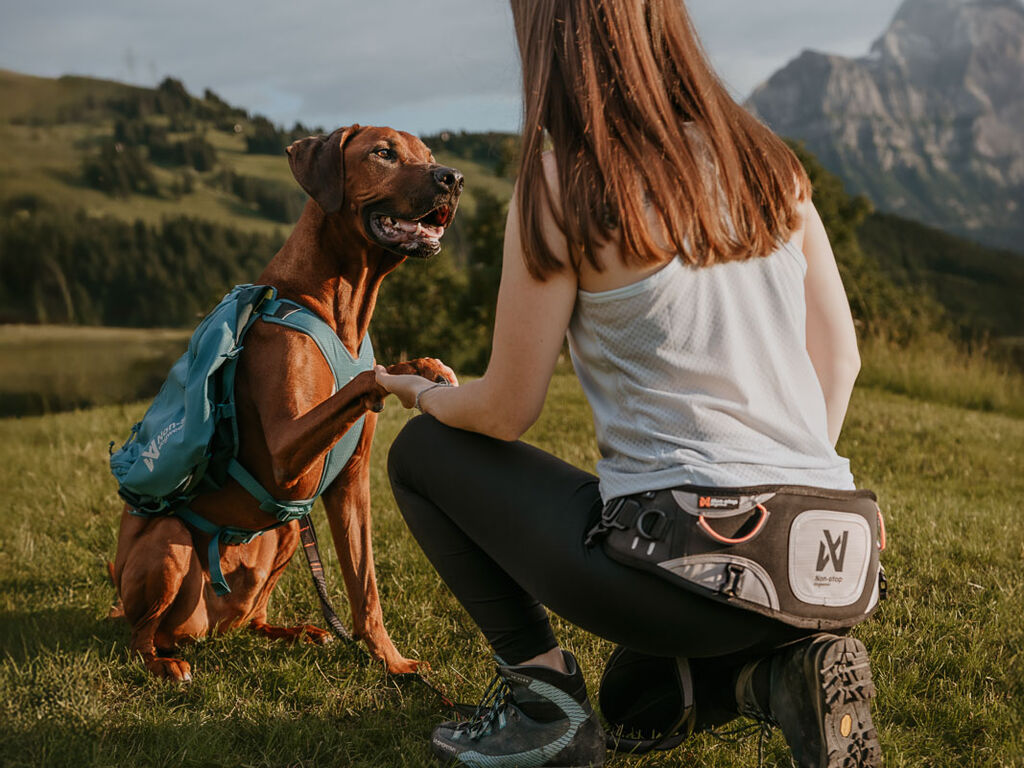 Explore belt – Bild 3