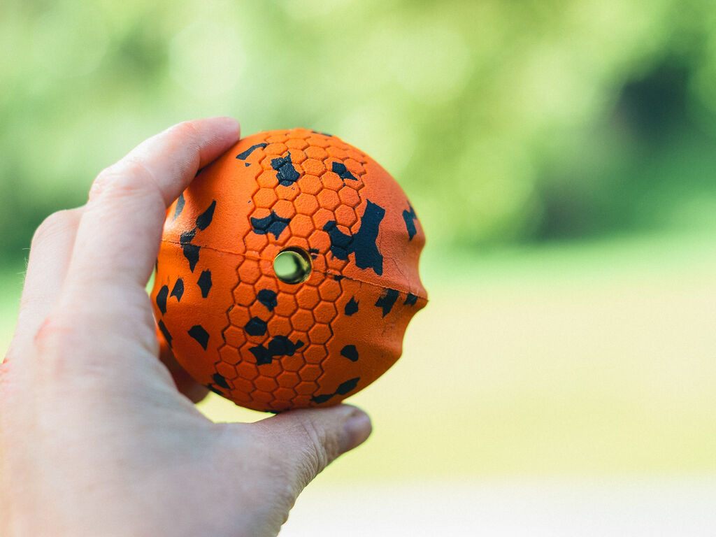 Dog ball – Bild 2