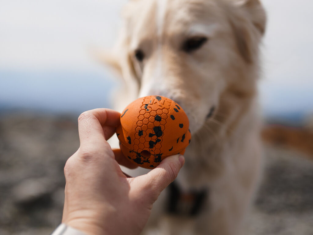 Dog ball – Bild 3