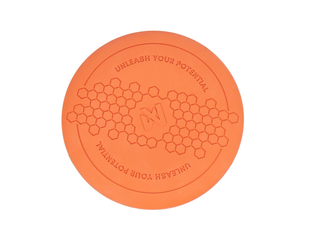 Dog flying disc