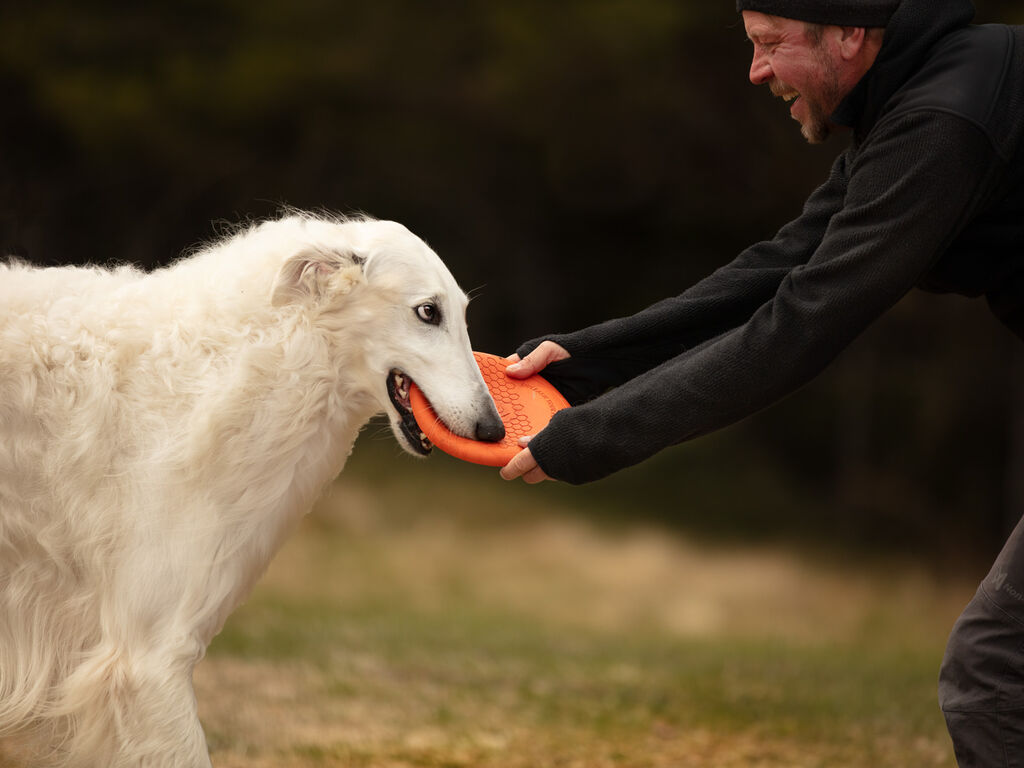 Dog flying disc – Bild 3