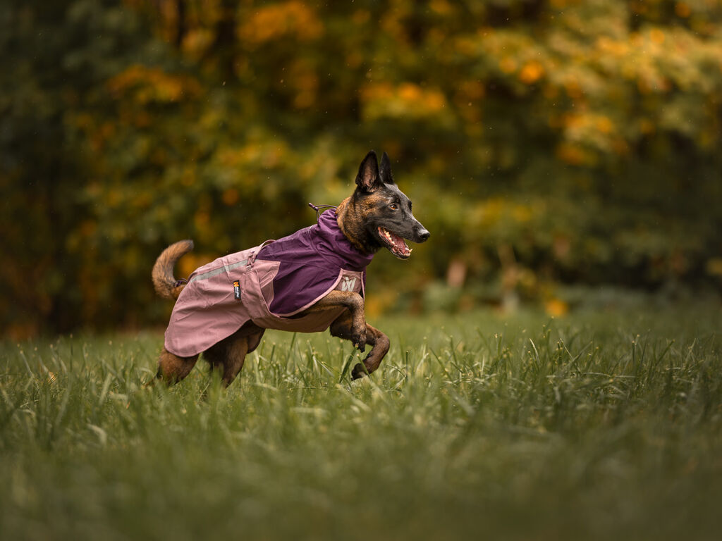 Fjord raincoat 2.0 – Bild 11