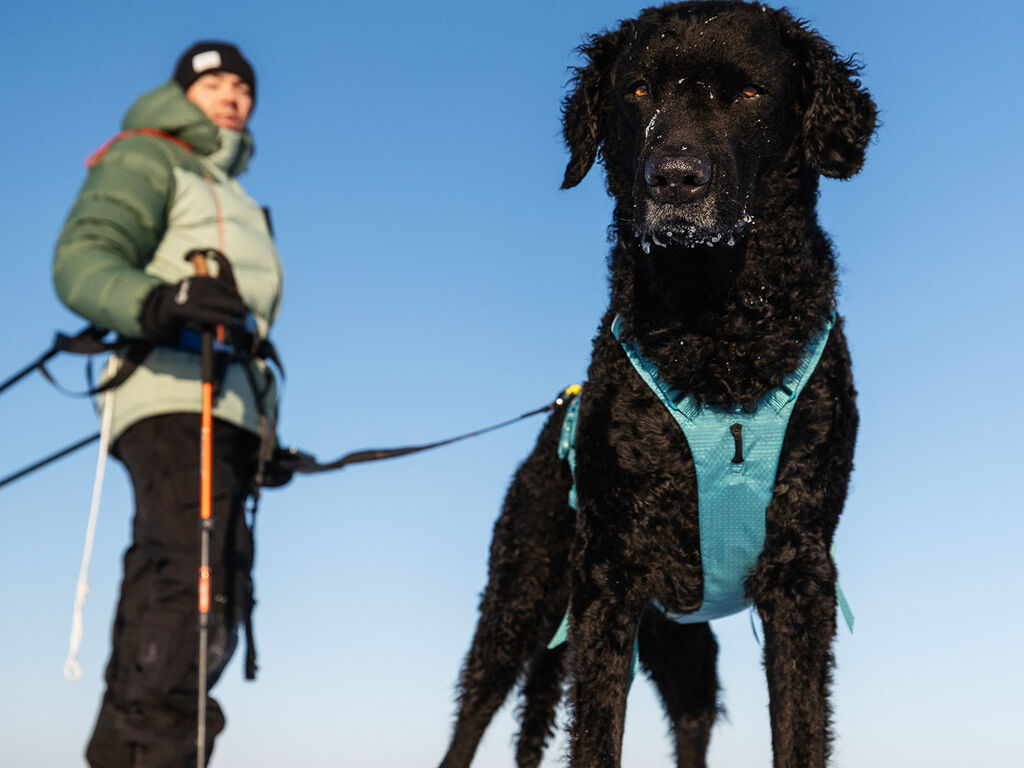Ramble harness long – Bild 2