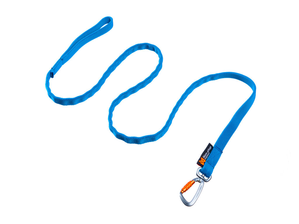 Bungee leash – Bild 3