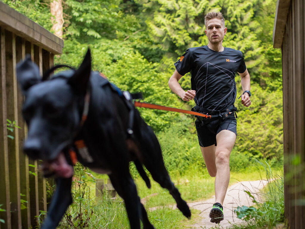 Bungee leash – Bild 5