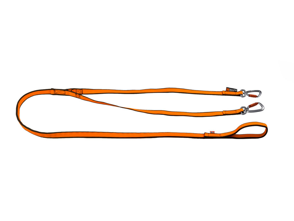 Bungee leash double