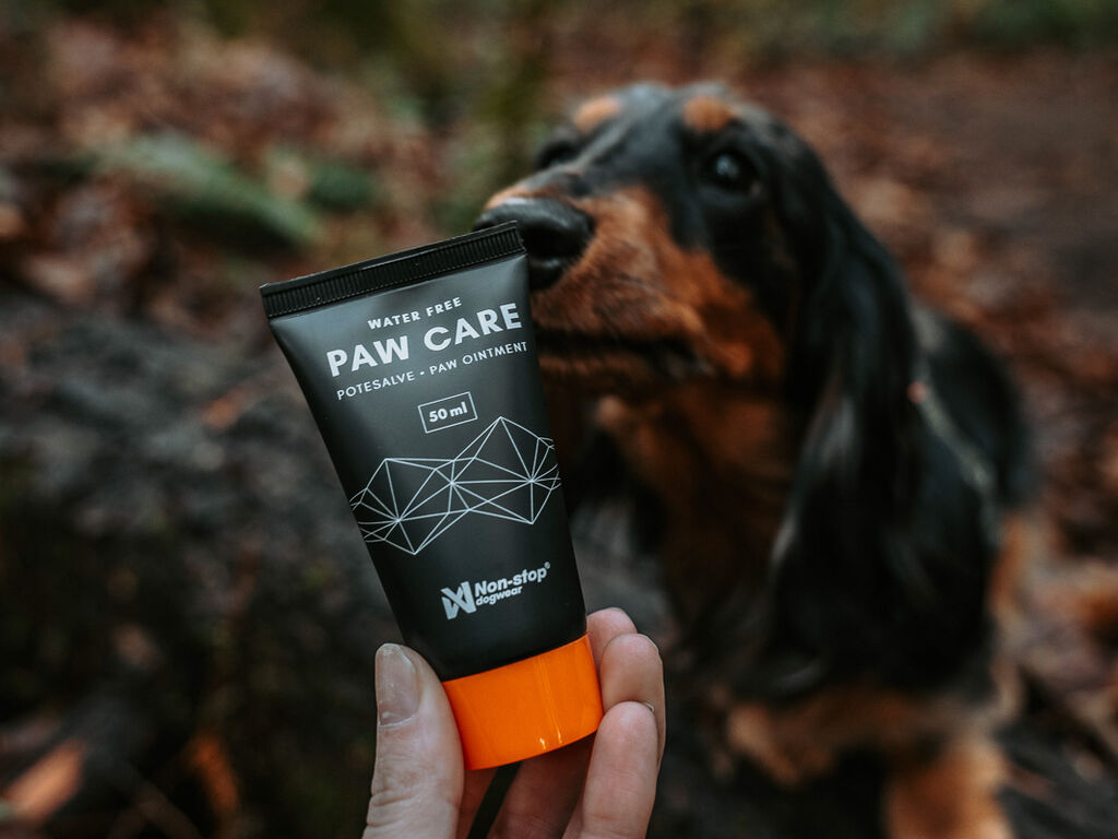 Paw care – Bild 4