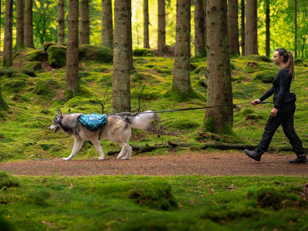 Trail quest dog backpack – Bild 5