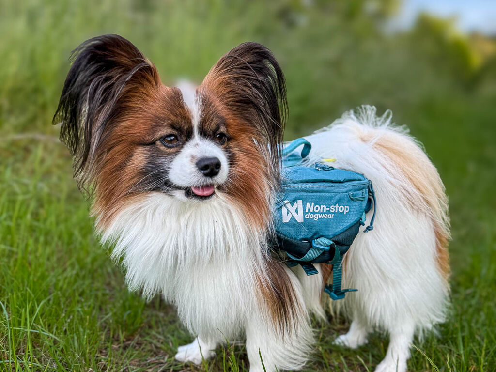 Trail quest dog backpack – Bild 6